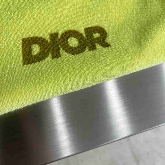 Dior    T-shirt DIY0098