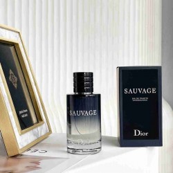 Dior Men's perfume（100ml) DX0005