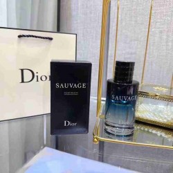 Dior Men's perfume（100ml) DX0007